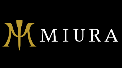 Miura Japanese Forged Irons