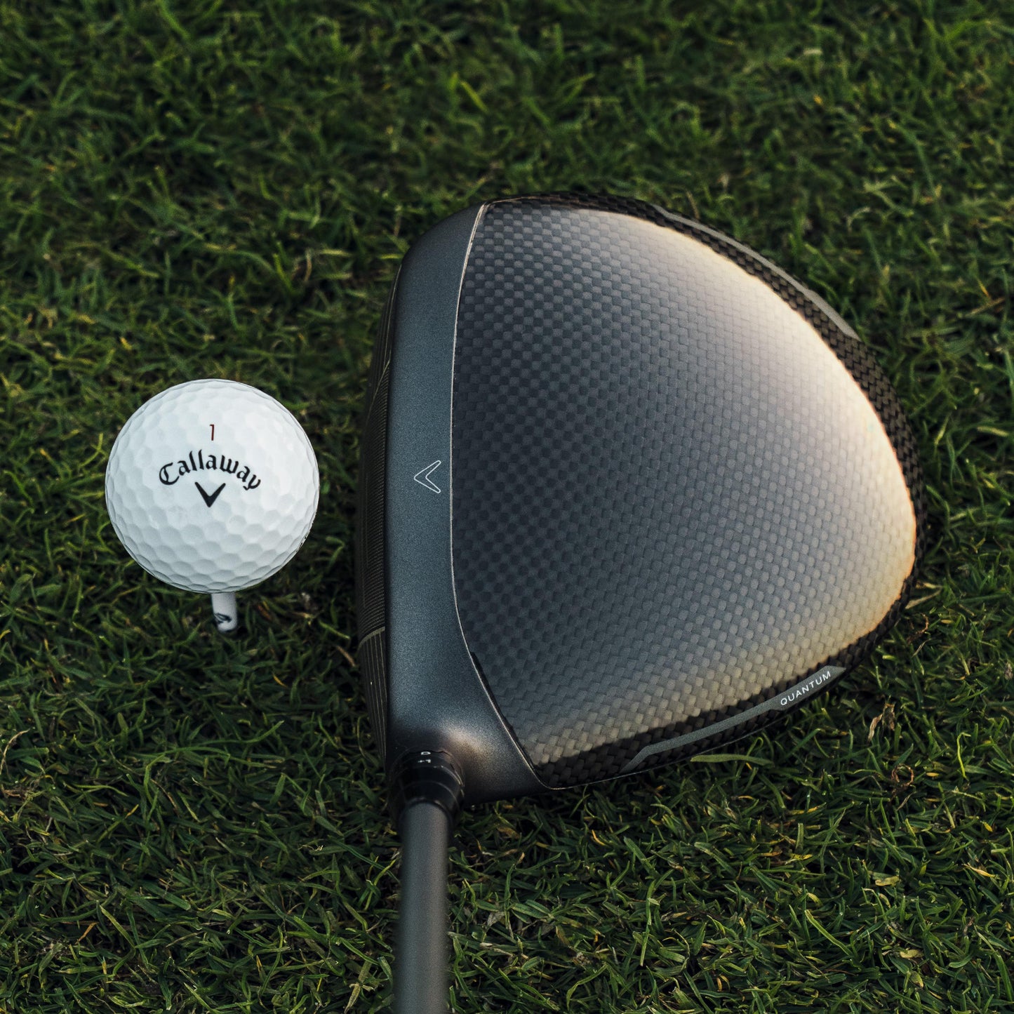 Callaway - Quantum Max D Driver - Jeff Shuster Golf